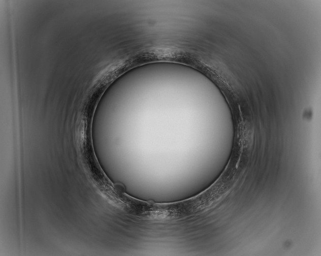 X0000100330740200806121127