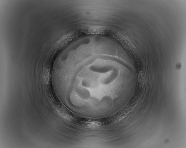 X0000100330741200806121127