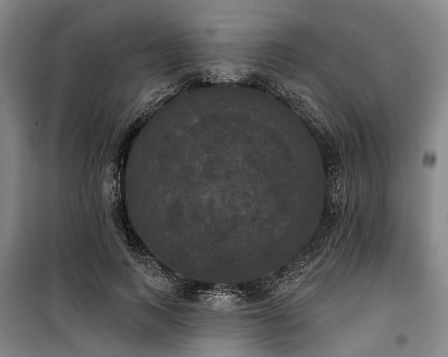 X0000100330743200806121127