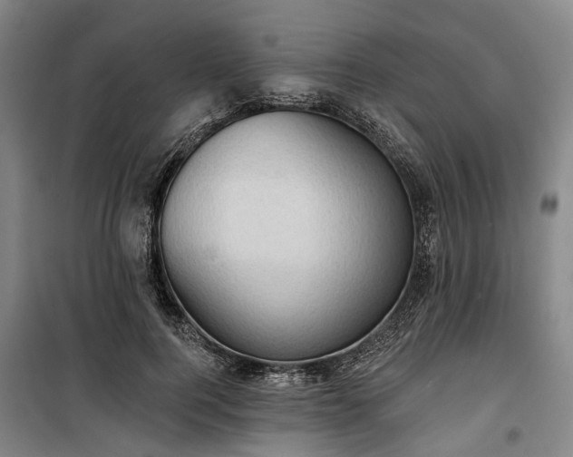 X0000100330744200806121127