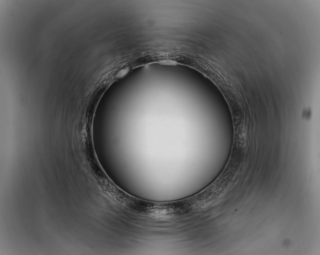 X0000100330746200806121127