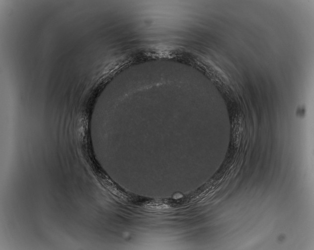 X0000100330747200806121127