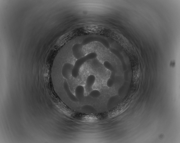 X0000100330749200806121127