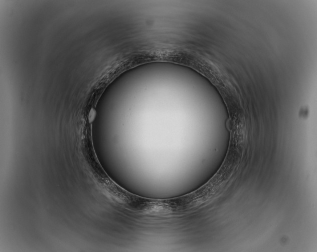 X0000100330750200806121127