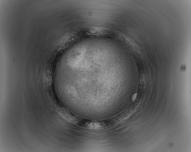 X0000100330751200806121127