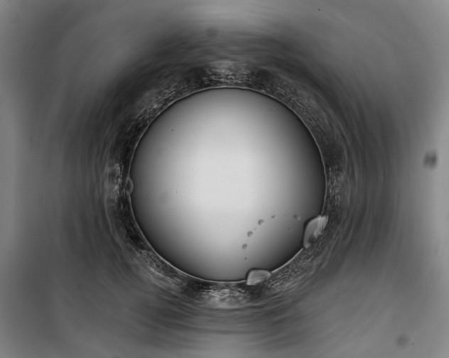 X0000100330752200806121127