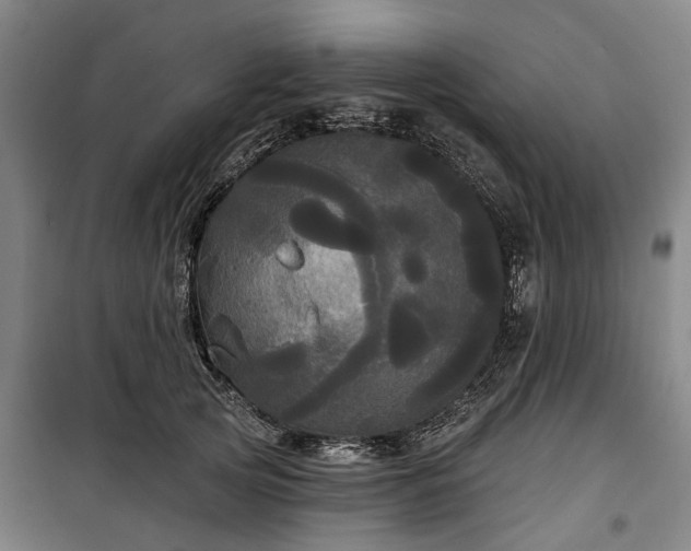 X0000100330753200806121127