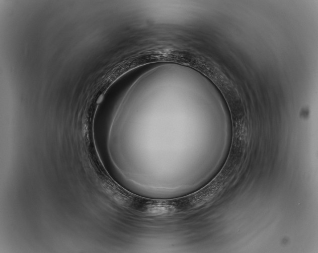 X0000100330754200806121127