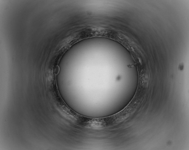 X0000100330756200806121127