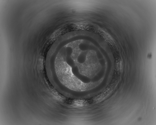 X0000100330757200806121127