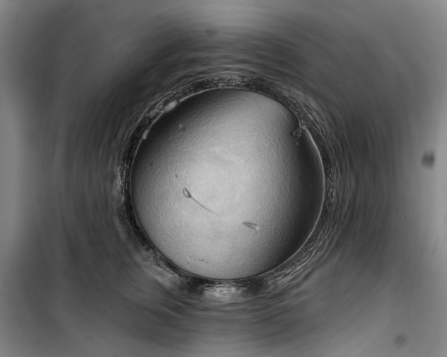 X0000100330759200806121127