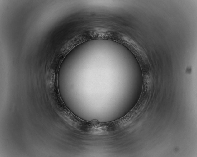 X0000100330760200806121127