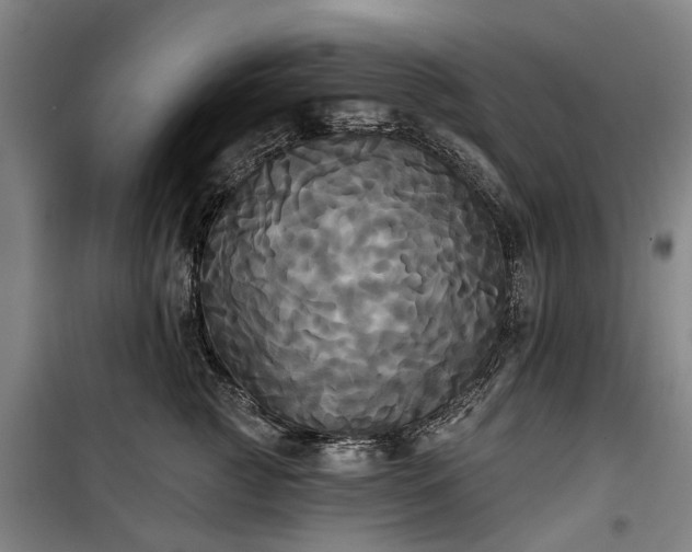 X0000100330761200806121127