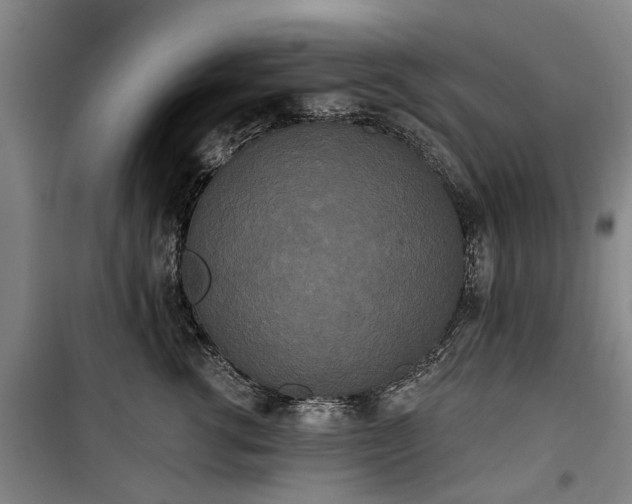 X0000100330762200806121127