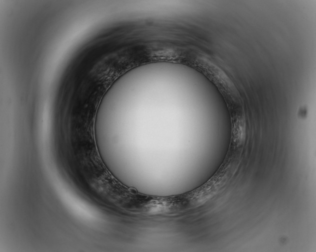 X0000100330764200806121127