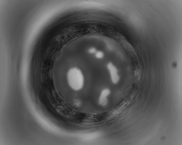 X0000100330765200806121127