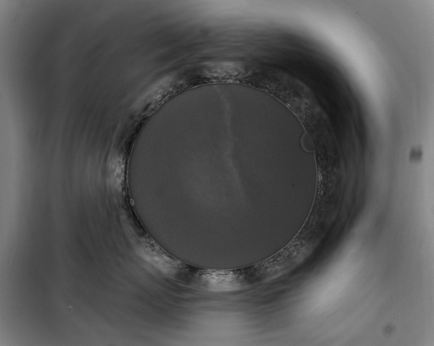 X0000100330767200806121127