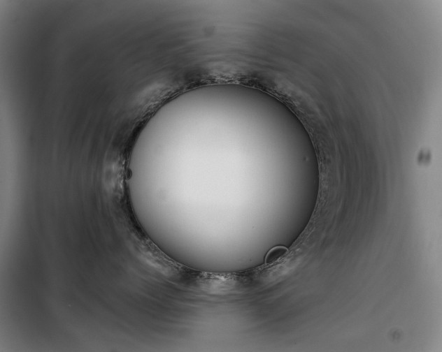 X0000100330768200806121127