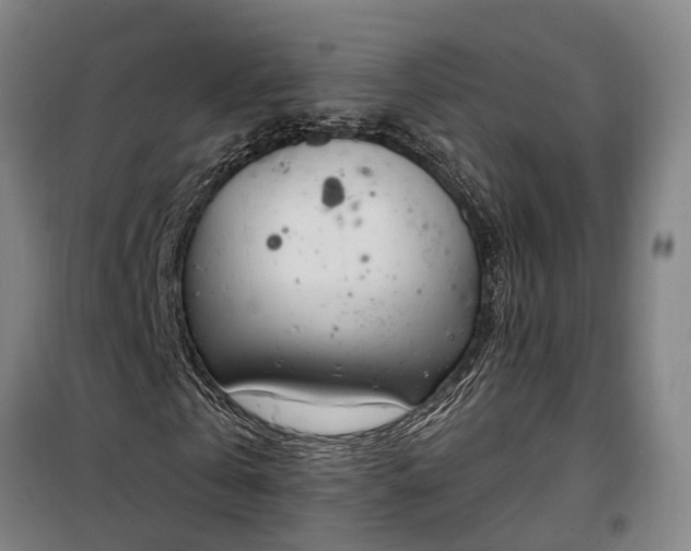 X0000100330769200806121127