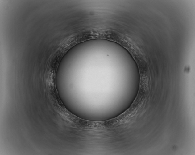 X0000100330770200806121127