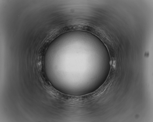 X0000100330771200806121127