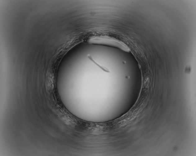 X0000100330772200806121127