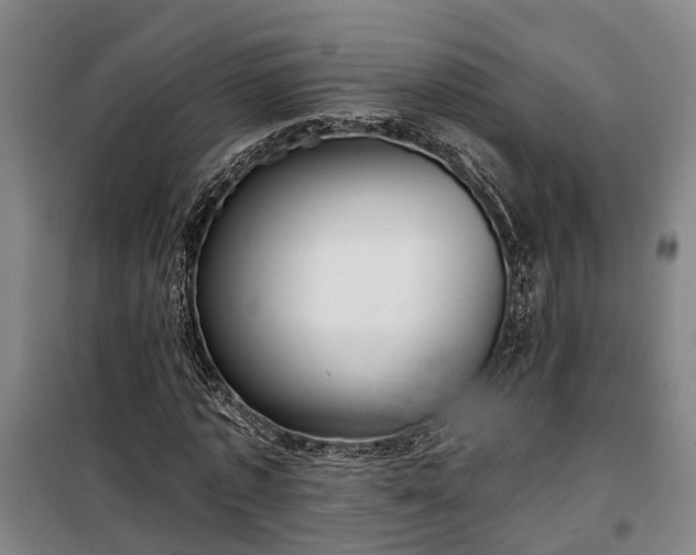 X0000100330773200806121127