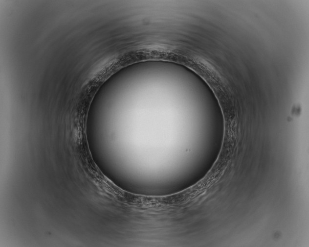 X0000100330774200806121127