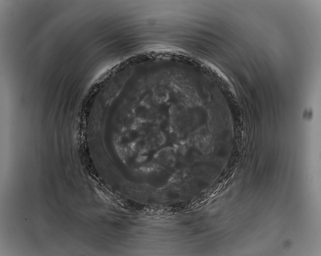 X0000100330775200806121127