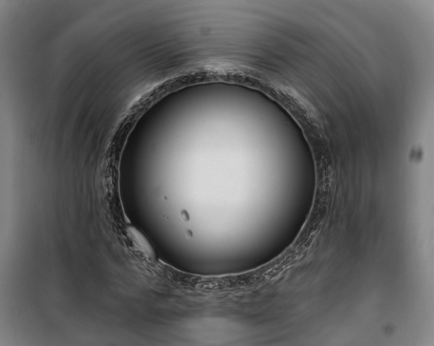 X0000100330776200806121127