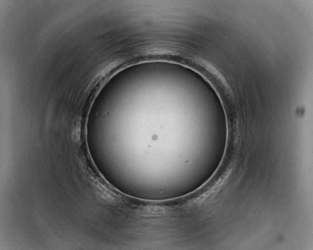 X0000100330777200806121127