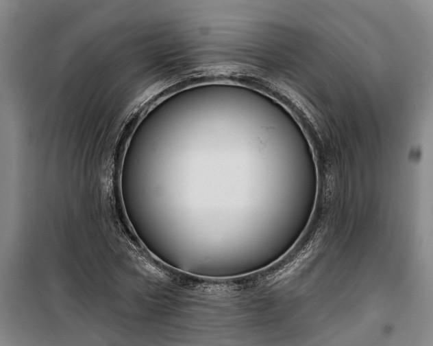 X0000100330778200806121127