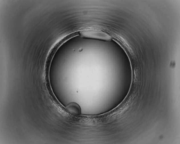 X0000100330780200806121127