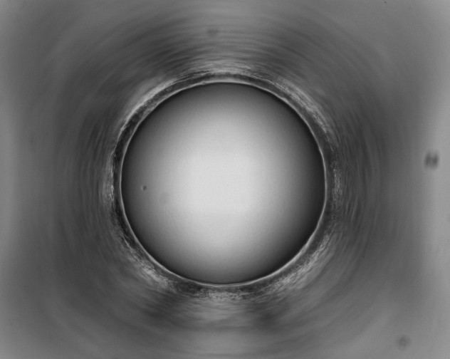 X0000100330782200806121127