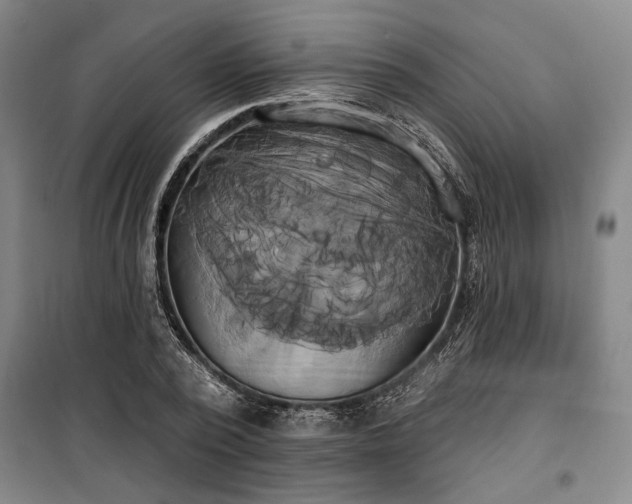 X0000100330784200806121127