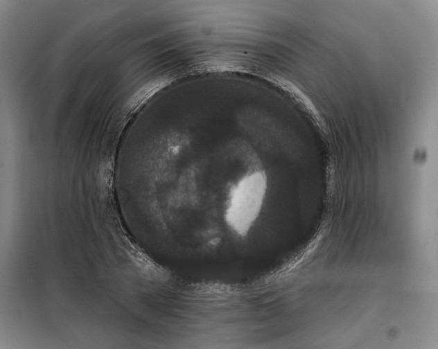 X0000100330785200806121127