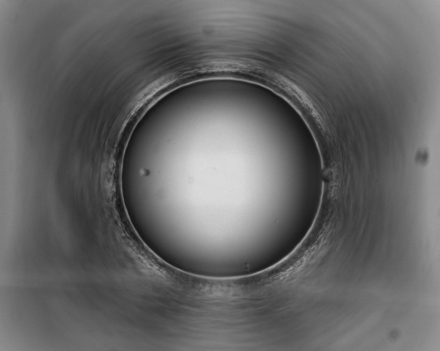 X0000100330786200806121126