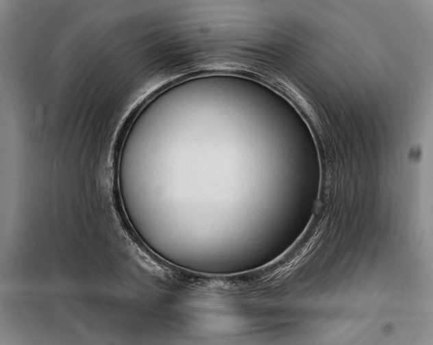 X0000100330787200806121126