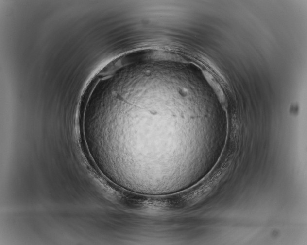 X0000100330788200806121126