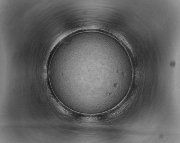 X0000100330789200806121126