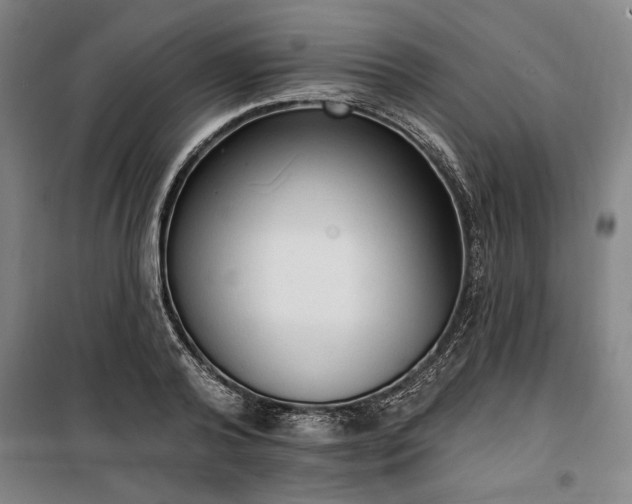 X0000100330792200806121126