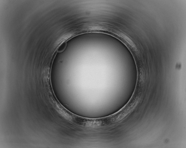 X0000100330793200806121126