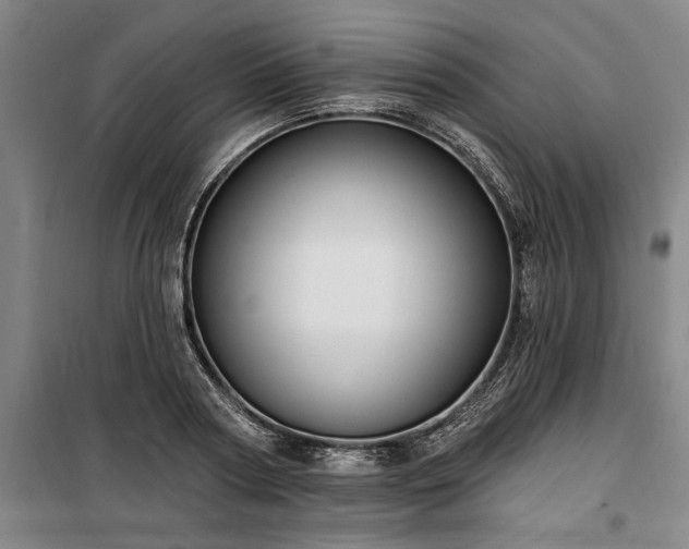 X0000100330794200806121126