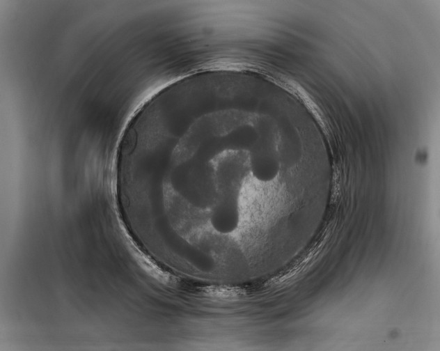 X0000100330795200806121126