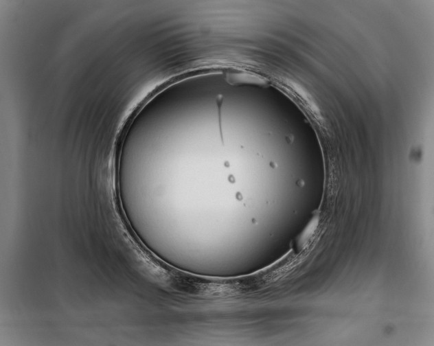 X0000100330796200806121126