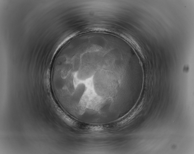 X0000100330798200806121126