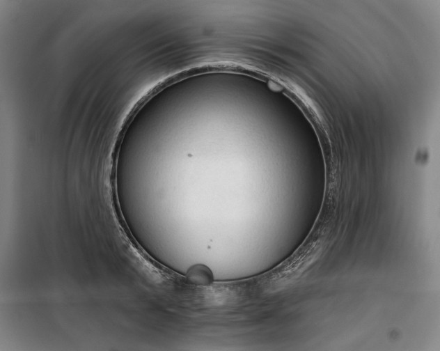 X0000100330799200806121126