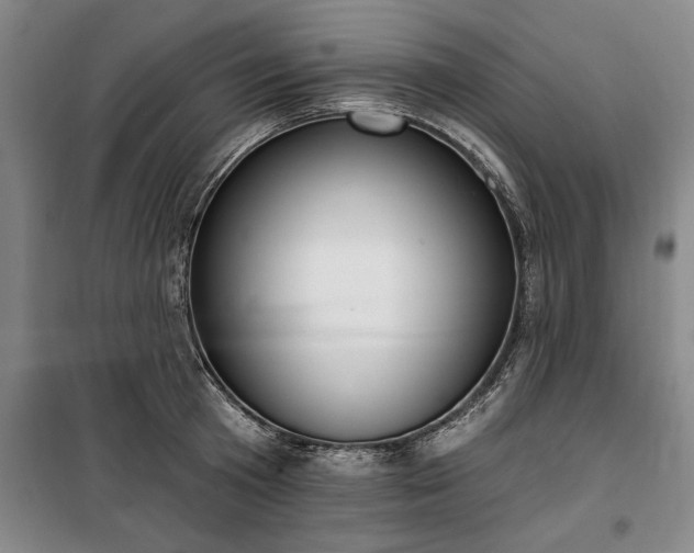 X0000100330801200806121126