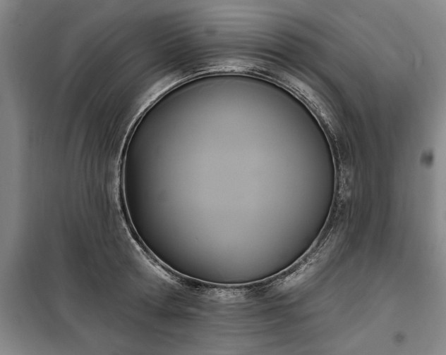 X0000100330802200806121126