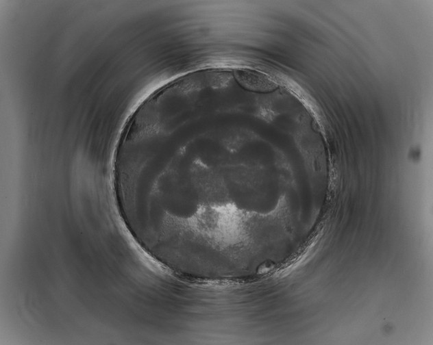 X0000100330803200806121126